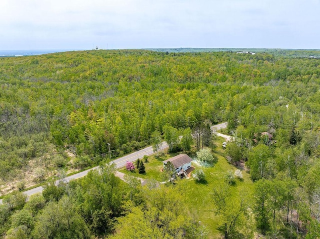 315 Pleasant View Rd, Duluth, MN 55803 - aerial view of a forest
