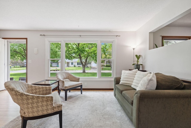 8400 Virginia Cir S, Saint Louis Park, MN 55426 - view of living room