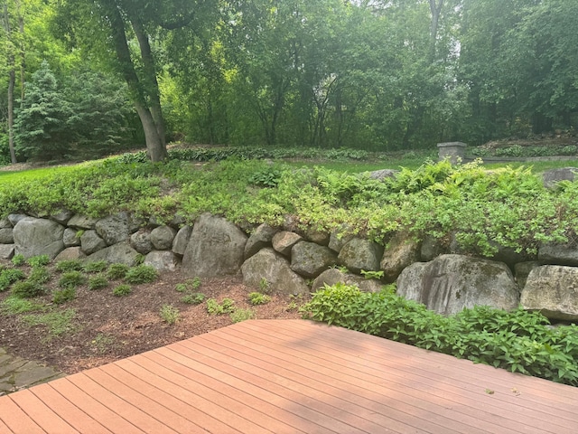 1496 Pinetree Trl, Eagan, MN 55122 - deck with a forest view