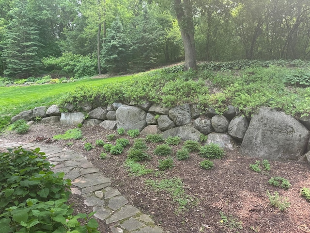 1496 Pinetree Trl, Eagan, MN 55122 - view of yard featuring a forest view