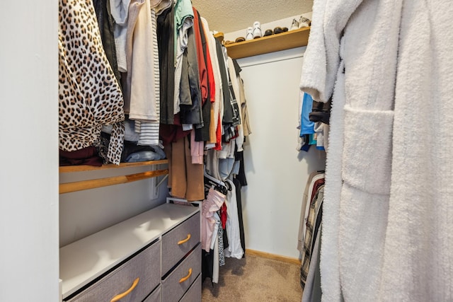 9955 Russell Ave N Unit 10, Brooklyn Park, MN 55444 - walk in closet featuring carpet