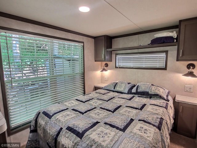 10255 Nevens Ave NW Unit 50, South Haven, MN 55382 - view of bedroom