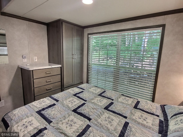 10255 Nevens Ave NW Unit 50, South Haven, MN 55382 - view of bedroom