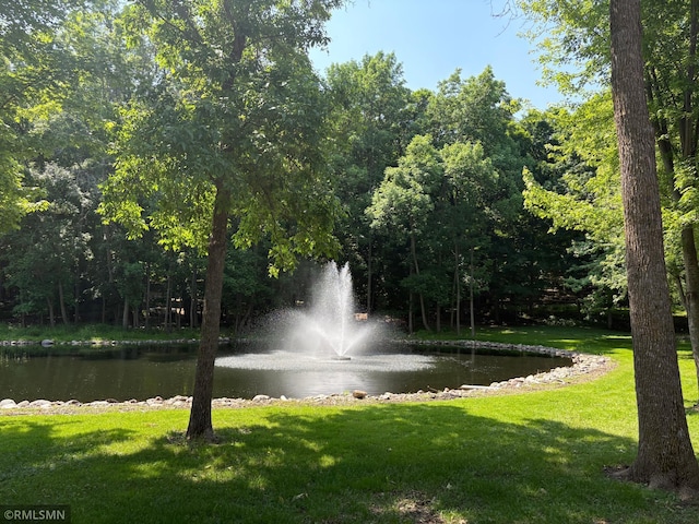 10255 Nevens Ave NW Unit 50, South Haven, MN 55382 - water view with a heavily wooded area