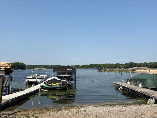 10255 Nevens Ave NW Unit 50, South Haven, MN 55382 - dock featuring a water view