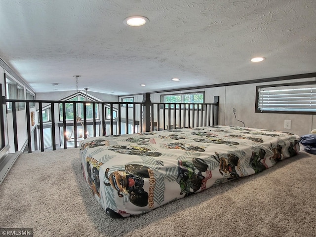 10255 Nevens Ave NW Unit 50, South Haven, MN 55382 - carpeted bedroom featuring a textured ceiling and recessed lighting