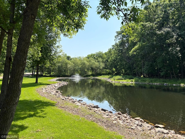 10255 Nevens Ave NW Unit 50, South Haven, MN 55382 - water view with a forest