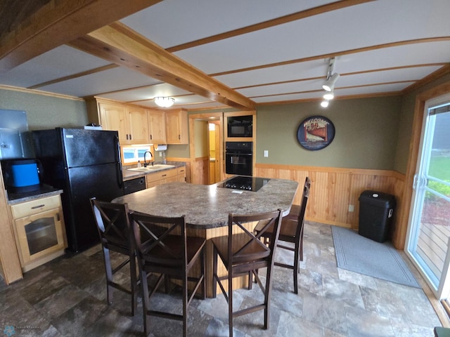 14768 Tradewinds Rd, Lake Eunice Twp, MN 56511 - kitchen featuring black appliances, light brown cabinetry, a wainscoted wall, stone finish floors, and a sink