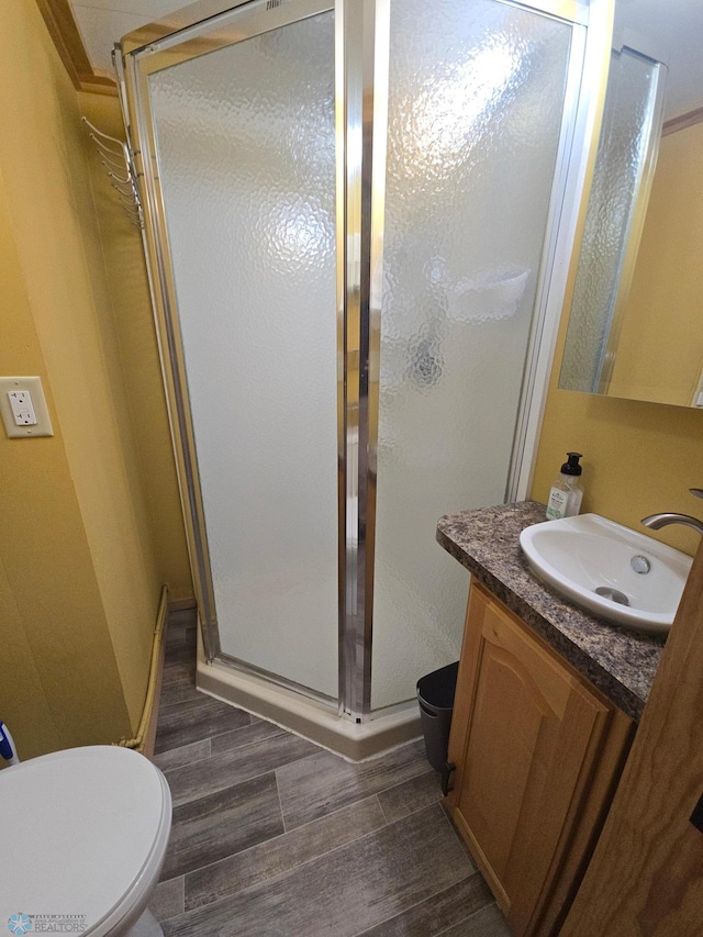 14768 Tradewinds Rd, Lake Eunice Twp, MN 56511 - full bath featuring vanity, toilet, a stall shower, and wood finished floors