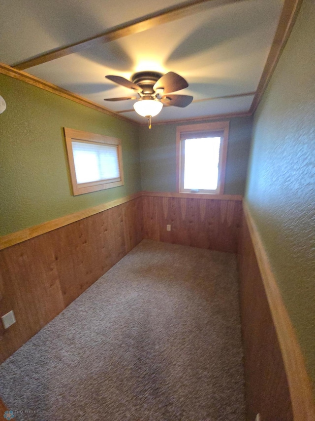 14768 Tradewinds Rd, Lake Eunice Twp, MN 56511 - empty room with plenty of natural light, wooden walls, wainscoting, carpet floors, and ornamental molding