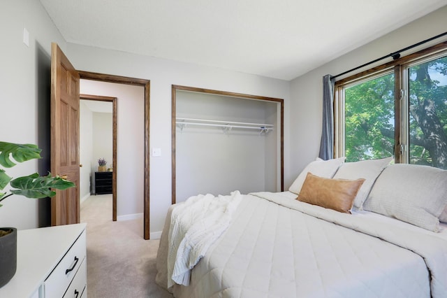 16503 Franklin Trl SE, Prior Lake, MN 55372 - bedroom featuring light carpet, a closet, and baseboards