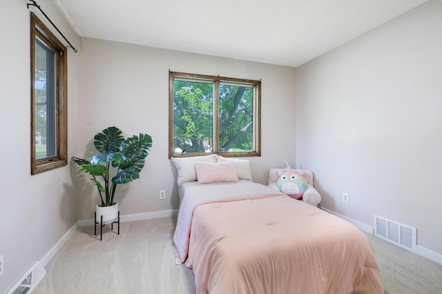 16503 Franklin Trl SE, Prior Lake, MN 55372 - bedroom featuring carpet flooring and baseboards