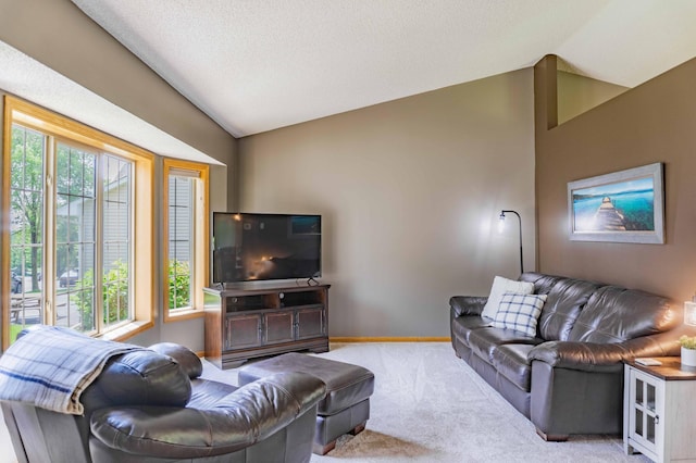 1918 Silver St, Waconia, MN 55387 - carpeted living area with vaulted ceiling and baseboards