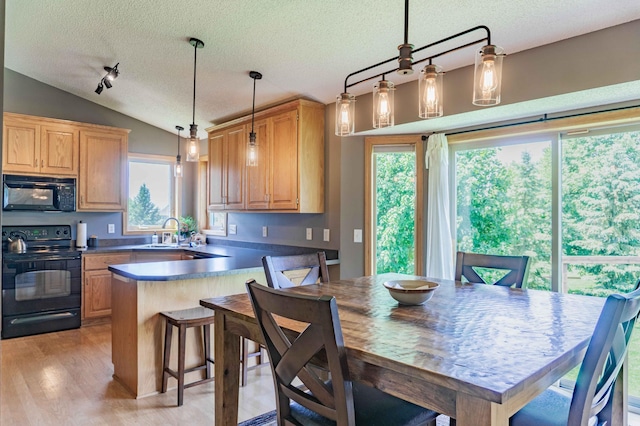 1918 Silver St, Waconia, MN 55387 - kitchen with black appliances, a textured ceiling, healthy amount of natural light, a sink, and light brown cabinetry