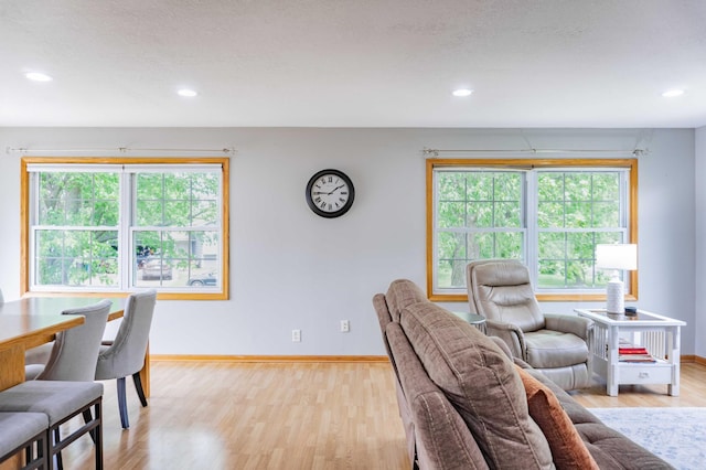 319 Casper Cir, Norwood Young America, MN 55368 - living room with light wood-style floors, baseboards, and recessed lighting