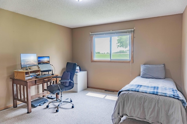 319 Casper Cir, Norwood Young America, MN 55368 - carpeted bedroom with a desk, baseboards, and a textured ceiling