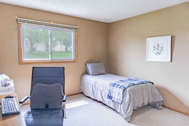 319 Casper Cir, Norwood Young America, MN 55368 - bedroom featuring carpet floors, a textured ceiling, and baseboards
