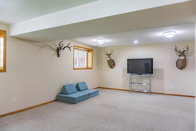 319 Casper Cir, Norwood Young America, MN 55368 - unfurnished room featuring carpet and baseboards