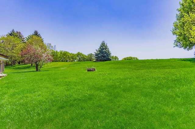 319 Casper Cir, Norwood Young America, MN 55368 - view of grassy yard