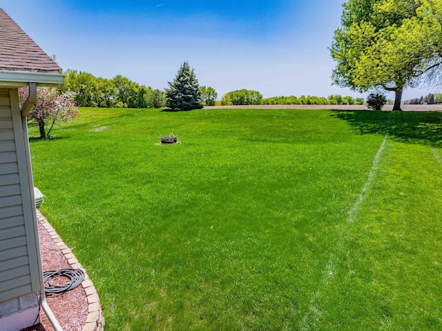 319 Casper Cir, Norwood Young America, MN 55368 - view of grassy yard