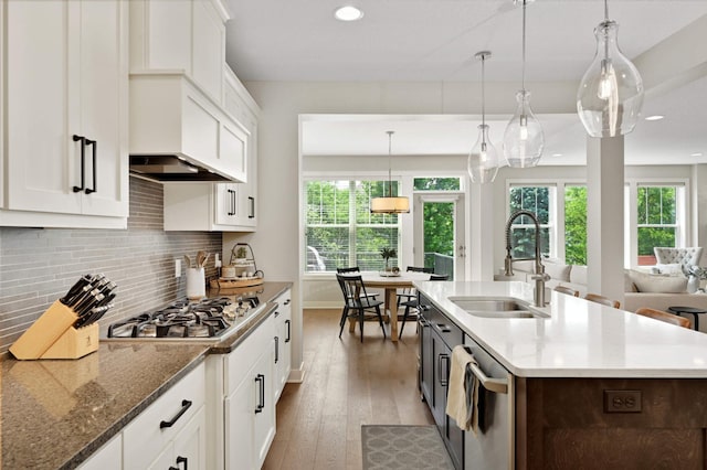 16632 Early Dawn Trl, Lakeville, MN 55044 - kitchen featuring a sink, stainless steel appliances, recessed lighting, white cabinets, and hardwood / wood-style floors