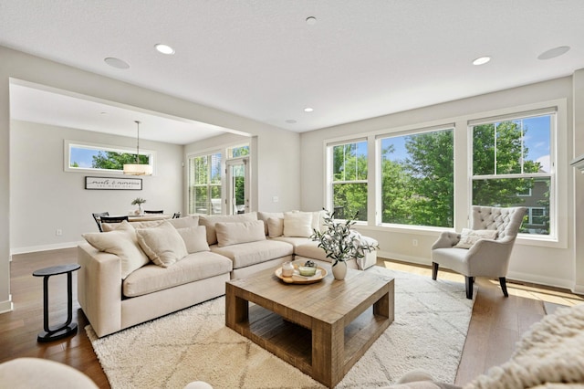 16632 Early Dawn Trl, Lakeville, MN 55044 - living room featuring hardwood / wood-style flooring, baseboards, and recessed lighting