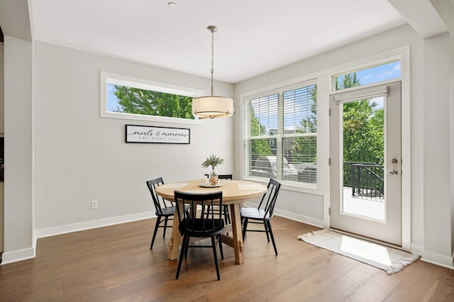 16632 Early Dawn Trl, Lakeville, MN 55044 - dining room with baseboards and wood finished floors
