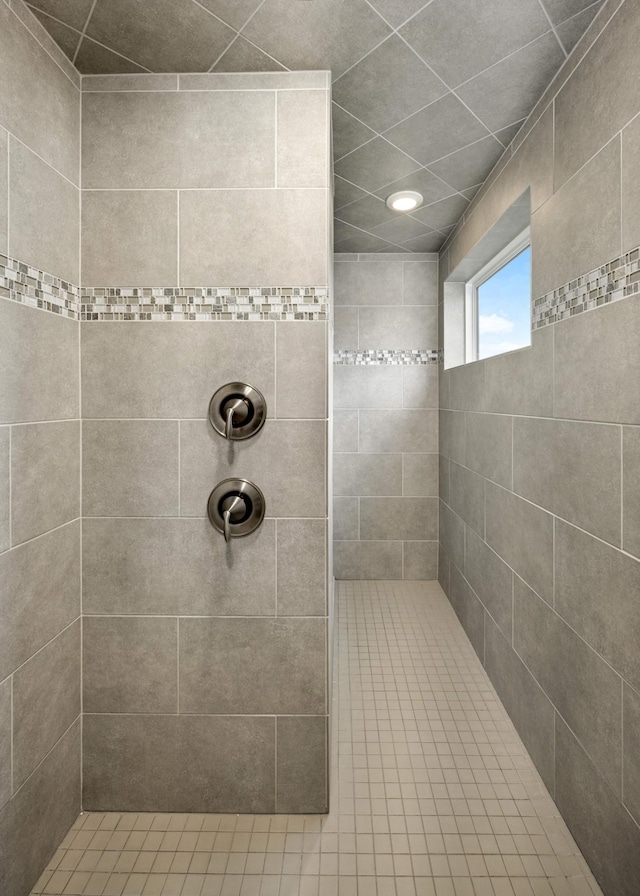 16632 Early Dawn Trl, Lakeville, MN 55044 - full bathroom with tiled shower