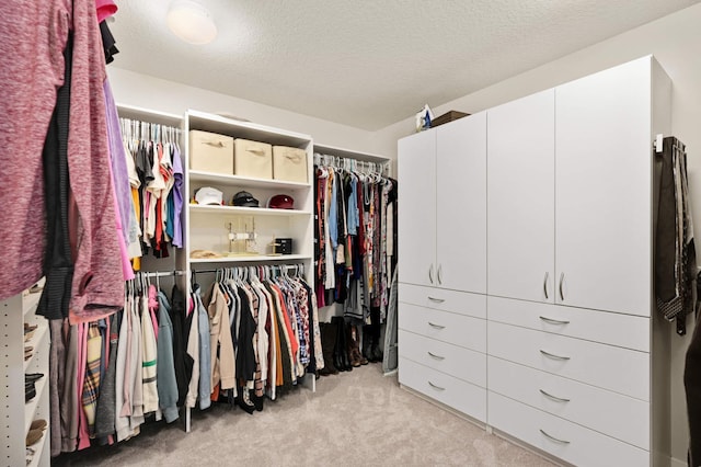 16632 Early Dawn Trl, Lakeville, MN 55044 - spacious closet with light carpet