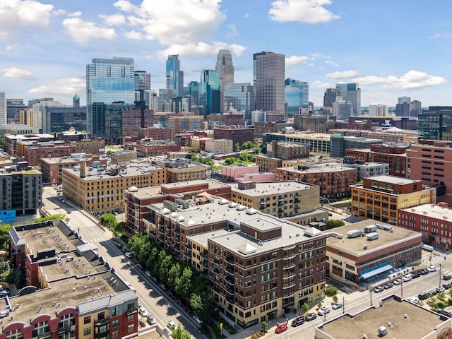 401 2nd St Unit 208, Minneapolis, MN 55401 - view of city skyline