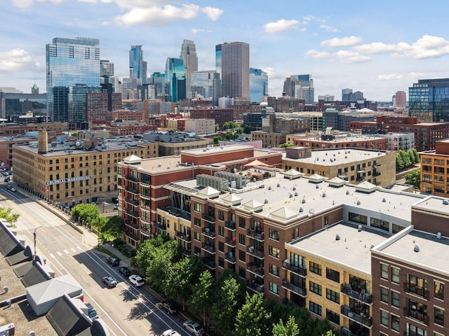 401 2nd St Unit 208, Minneapolis, MN 55401 - view of city skyline