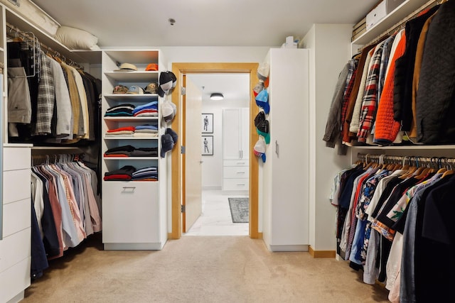401 2nd St Unit 208, Minneapolis, MN 55401 - walk in closet featuring carpet flooring
