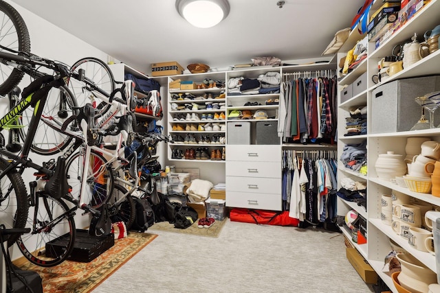 401 2nd St Unit 208, Minneapolis, MN 55401 - walk in closet with carpet