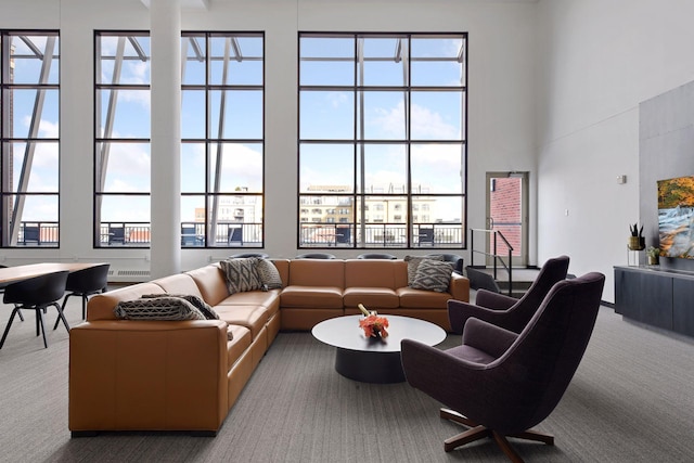 401 2nd St Unit 208, Minneapolis, MN 55401 - living room with a towering ceiling and carpet flooring