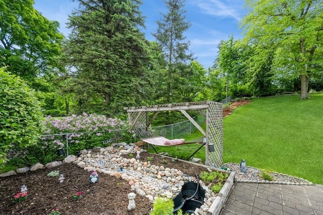 2575 Quebec Ave S, Saint Louis Park, MN 55426 - view of yard