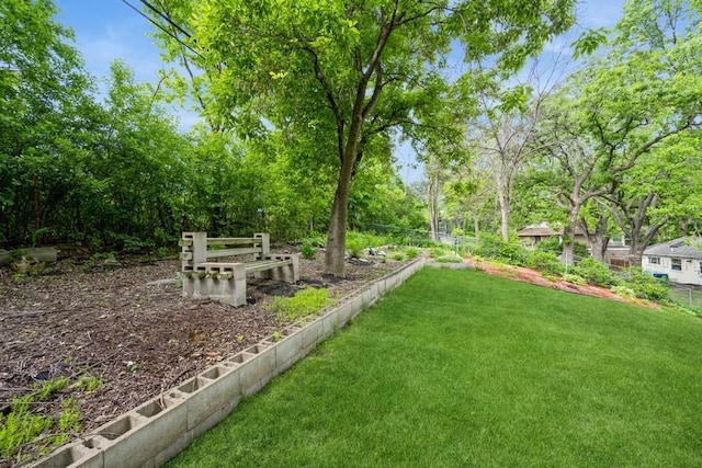 2575 Quebec Ave S, Saint Louis Park, MN 55426 - view of yard