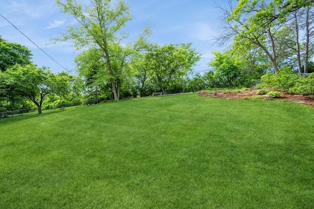 2575 Quebec Ave S, Saint Louis Park, MN 55426 - view of green lawn