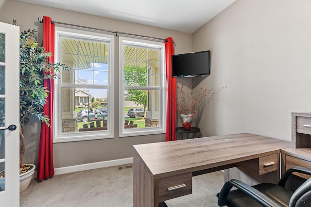 14143 Ailesbury Ave, Rosemount, MN 55068 - office featuring carpet and baseboards