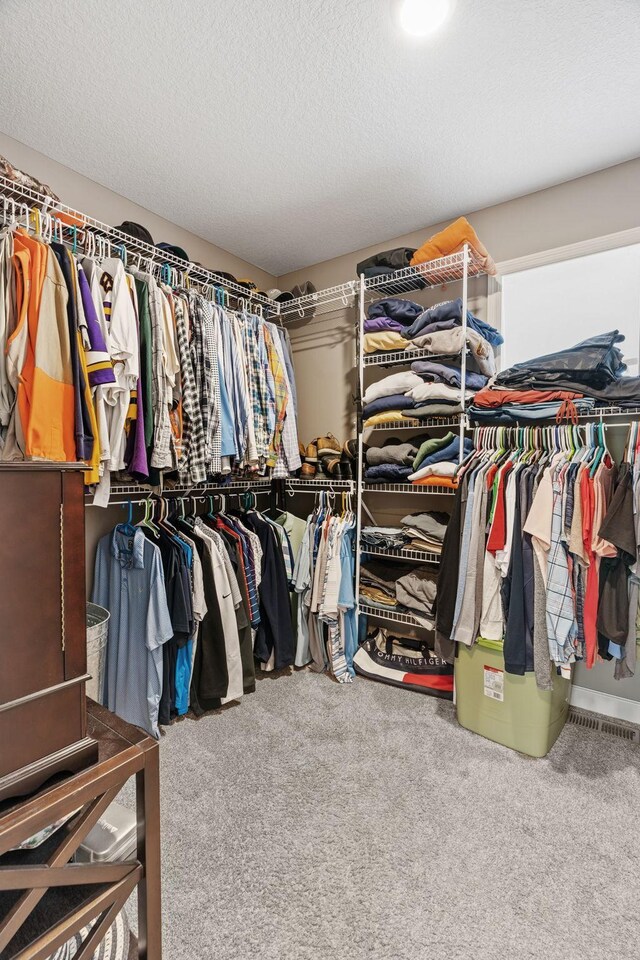14143 Ailesbury Ave, Rosemount, MN 55068 - spacious closet featuring carpet floors