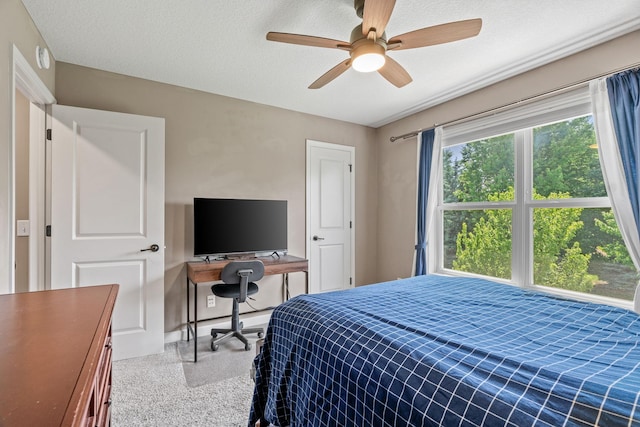 14143 Ailesbury Ave, Rosemount, MN 55068 - bedroom featuring an office area and a ceiling fan