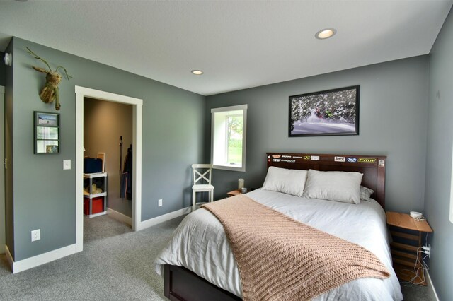 9859 80th Ave SE, Clear Lake Twp, MN 55319 - photo 37