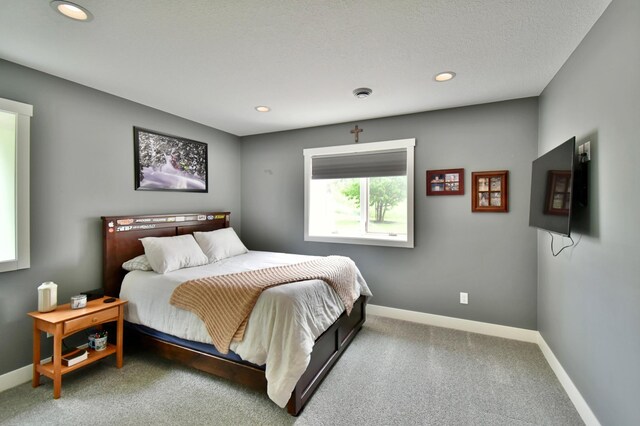 9859 80th Ave SE, Clear Lake Twp, MN 55319 - photo 38