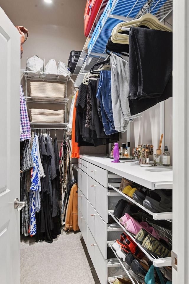 301 Clifton Ave Unit 1K, Minneapolis, MN 55403 - spacious closet with carpet floors