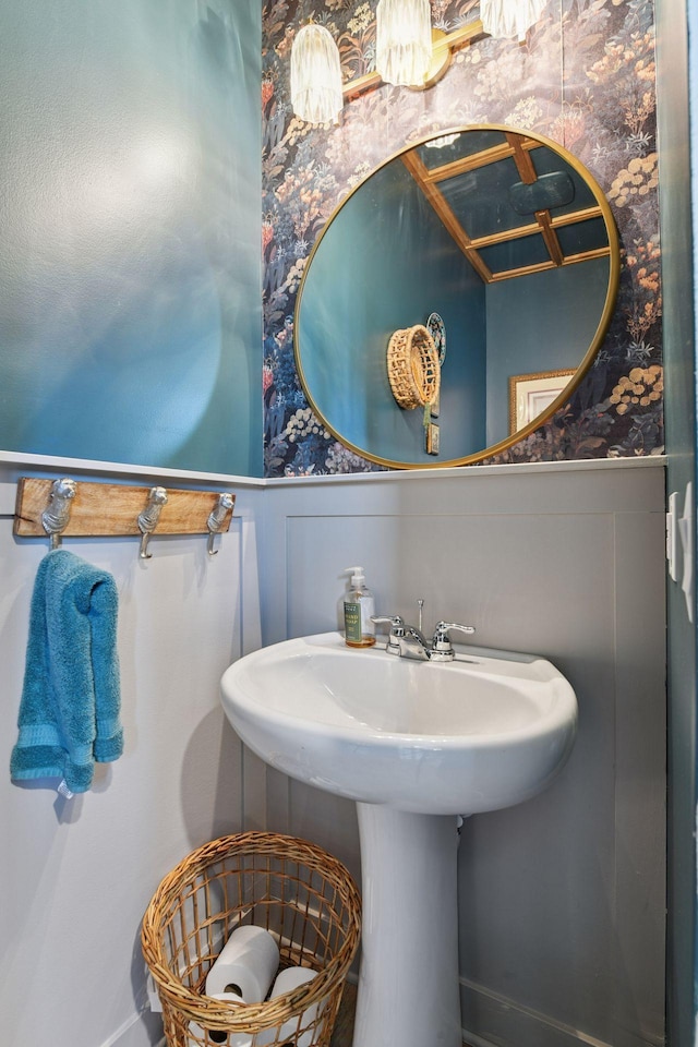 515 Goldenrod Trl, Waconia, MN 55387 - bathroom featuring a wainscoted wall, a sink, and a decorative wall