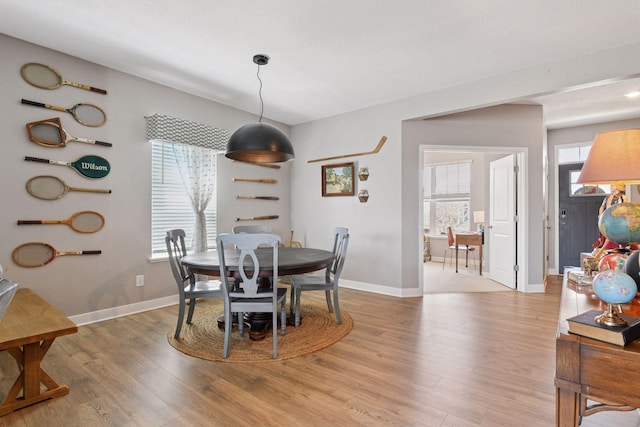 515 Goldenrod Trl, Waconia, MN 55387 - dining area with light wood-type flooring and baseboards
