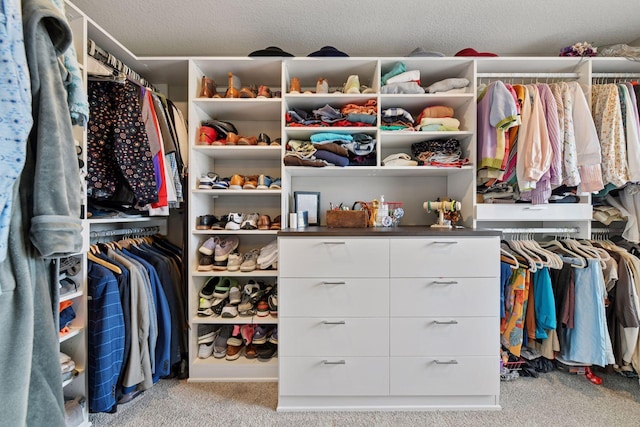 515 Goldenrod Trl, Waconia, MN 55387 - spacious closet with carpet flooring