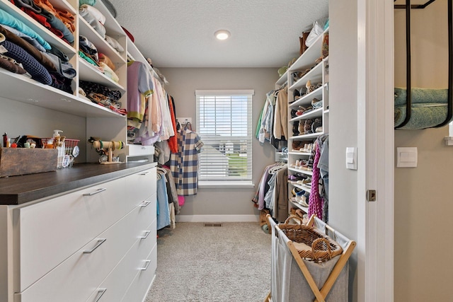 515 Goldenrod Trl, Waconia, MN 55387 - walk in closet featuring light colored carpet