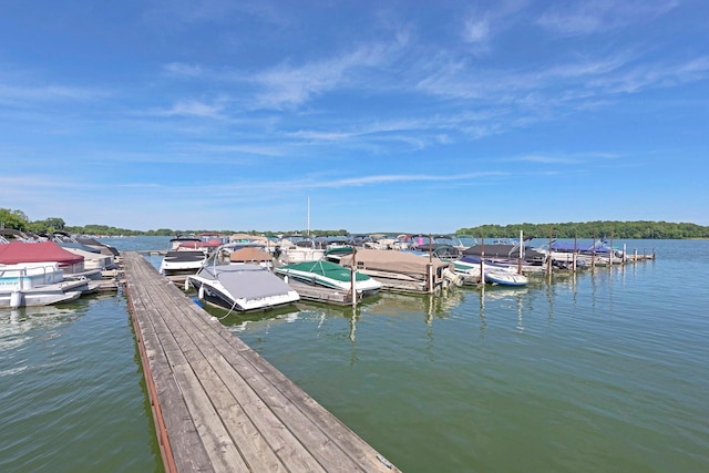 515 Goldenrod Trl, Waconia, MN 55387 - dock featuring a water view