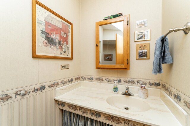8706 Town Hall Rd NW, Byron, MN 55920 - bathroom with vanity