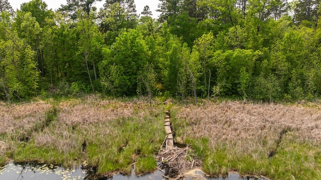 21341 County 50, Park Rapids, MN 56470 - view of undeveloped land